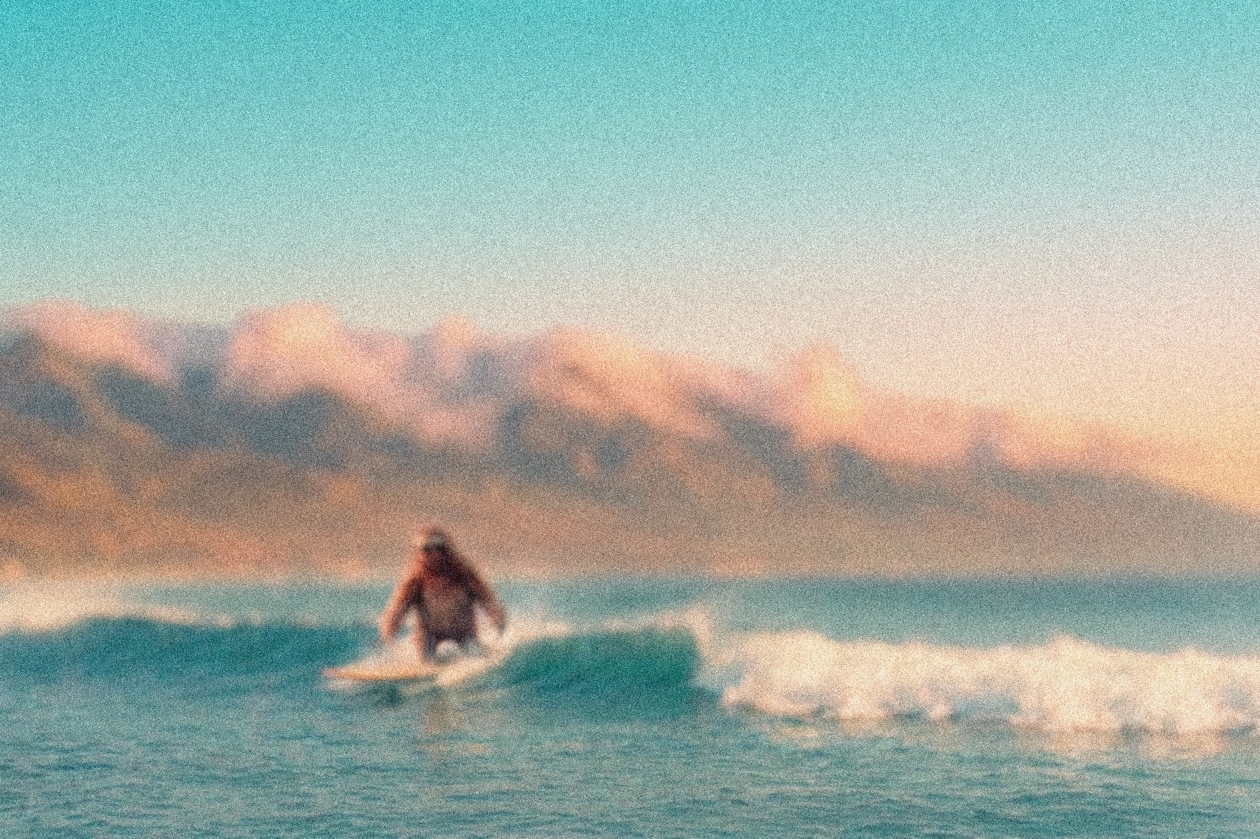 Background surfer sloth